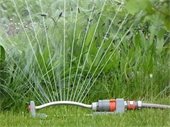 Lawn Watering Restrictions