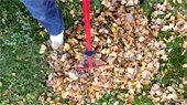Mark Your Calendars for Leaf Pick-Up!