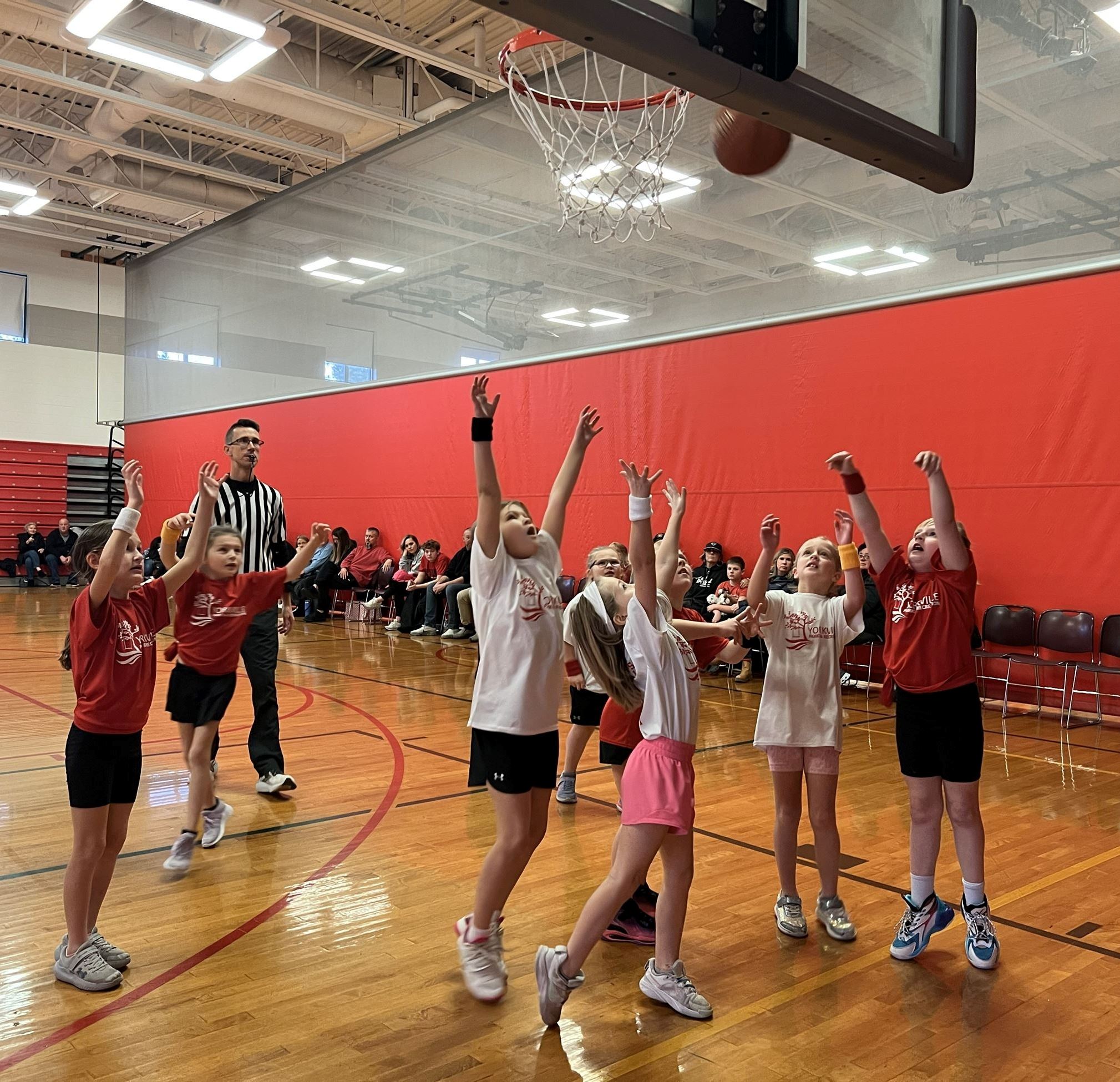 20241214_180632128_iOS