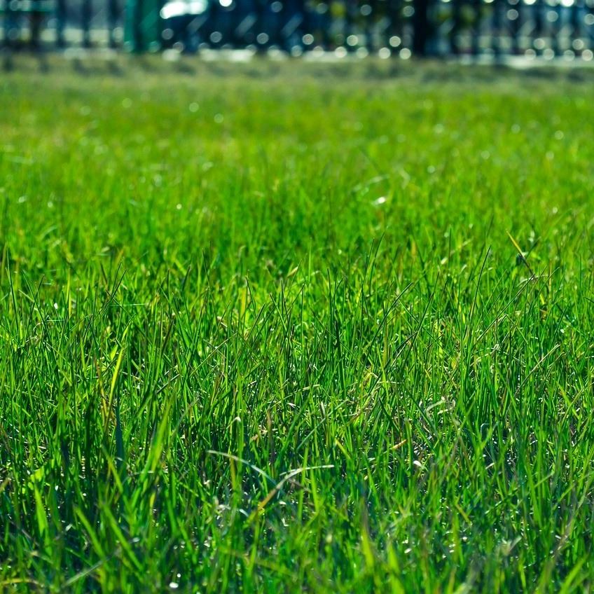 lawn-g8bc26597b_1280